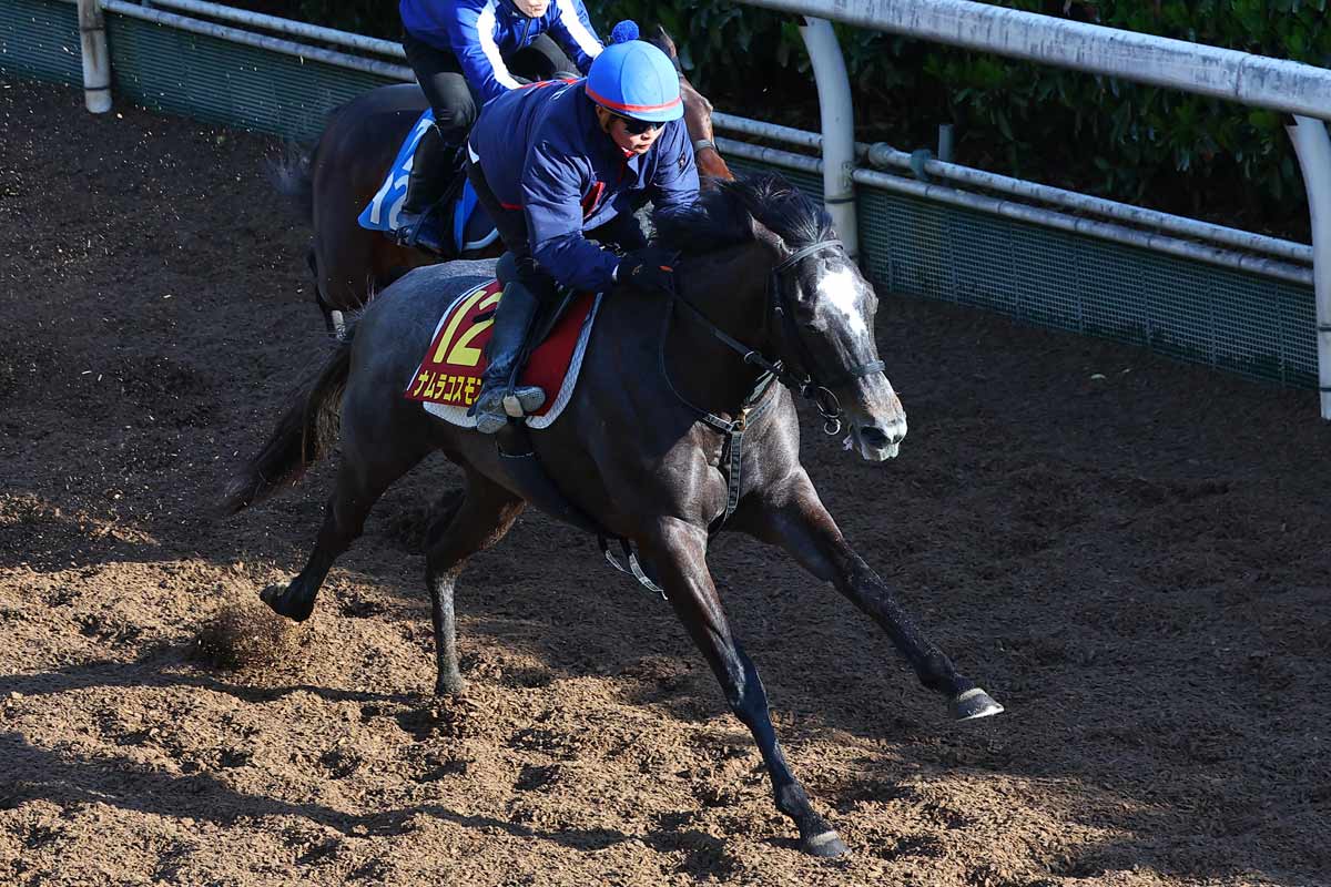 桜花賞予想 外枠の上位人気2頭を見ながら運べる絶好枠！ 人馬ともにGⅠ