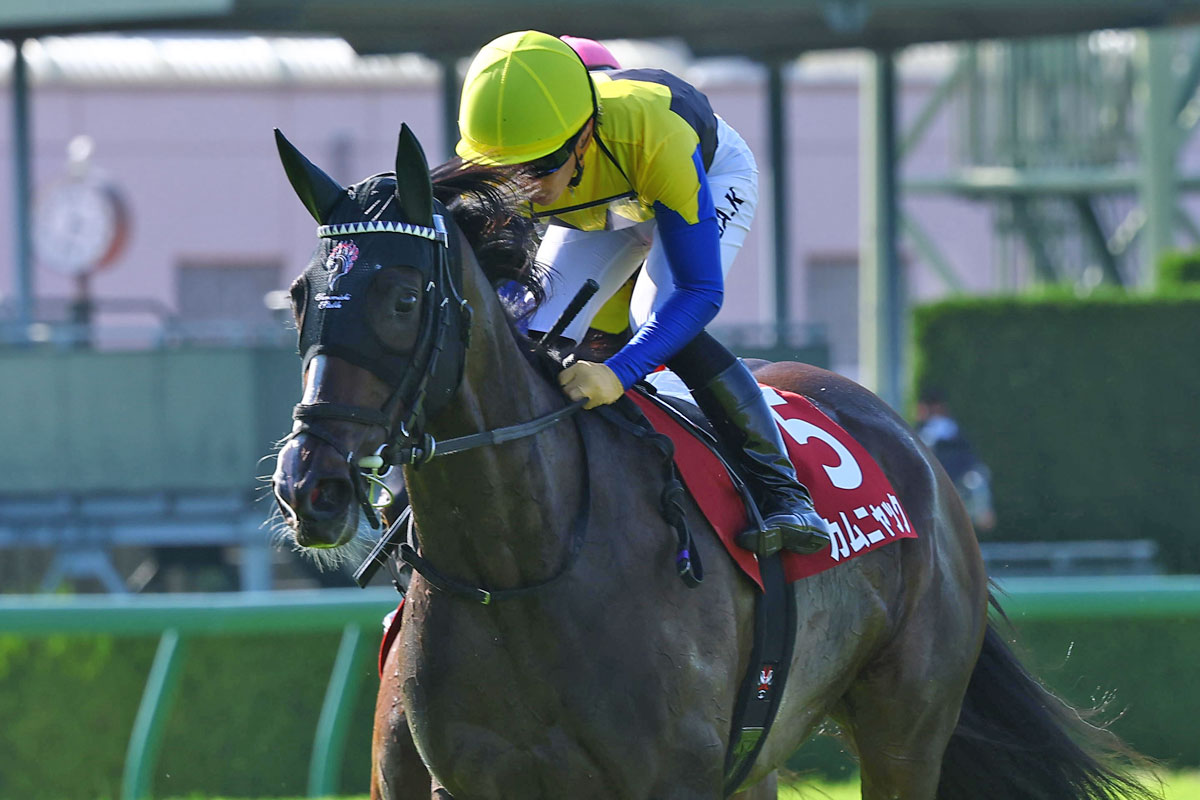阪神牝馬S】カムニャックが秋華賞16着から巻き返して2着 川田将雅「前