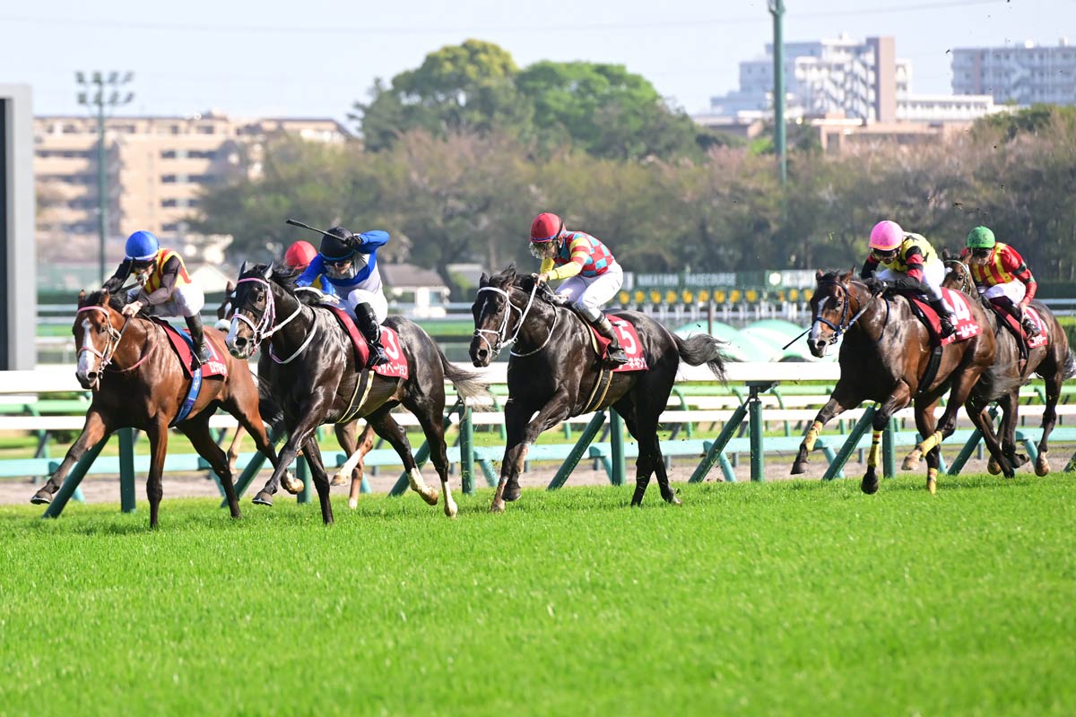 ニュージーランドT結果＆コメント】伏兵レザベーションが金星 原優介