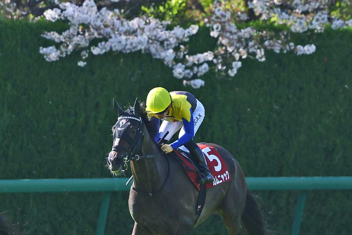 阪神牝馬S】オークス馬カムニャックは復調示す2着 友道康夫調教師