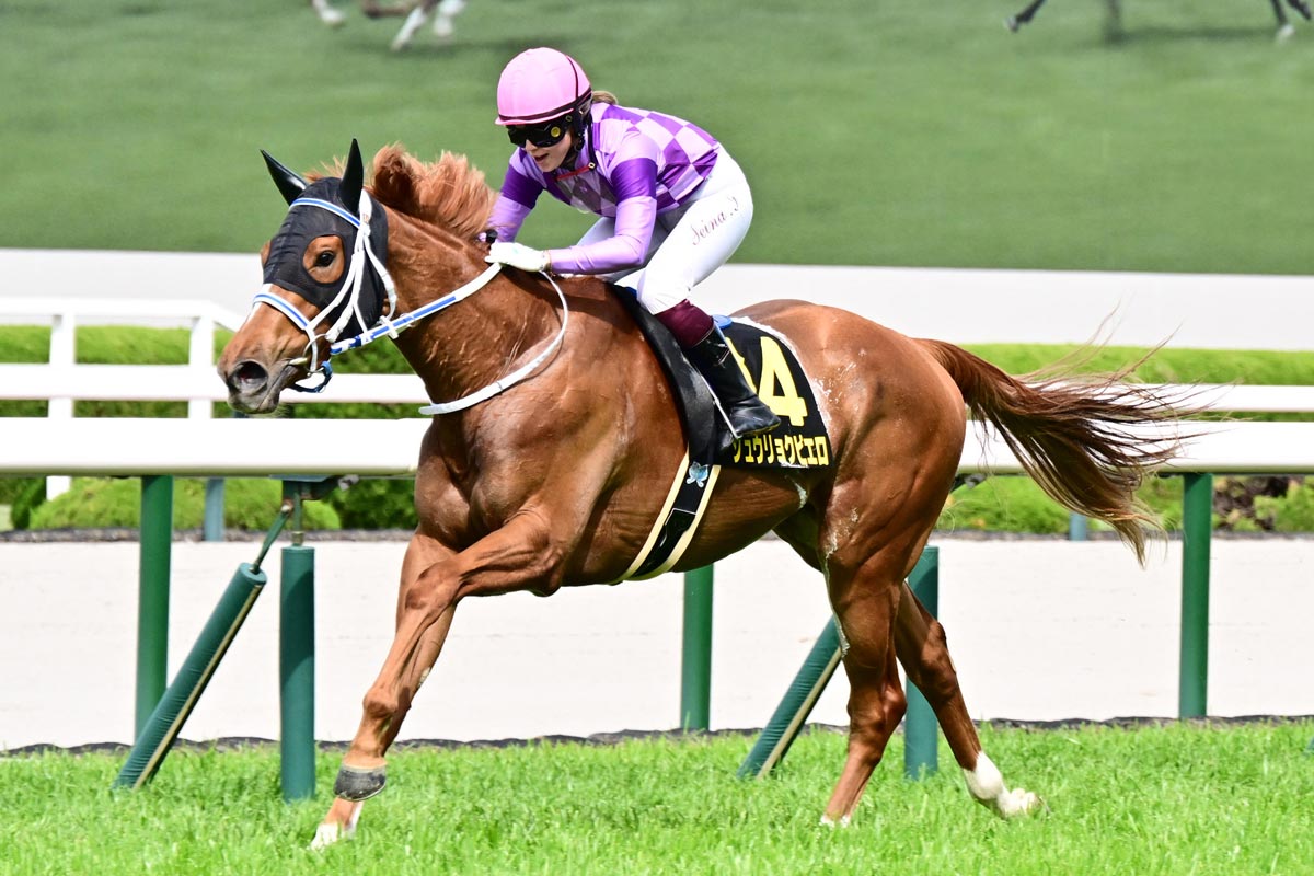 オルフェーヴル一覧 | 競馬ニュース・特集なら東スポ競馬