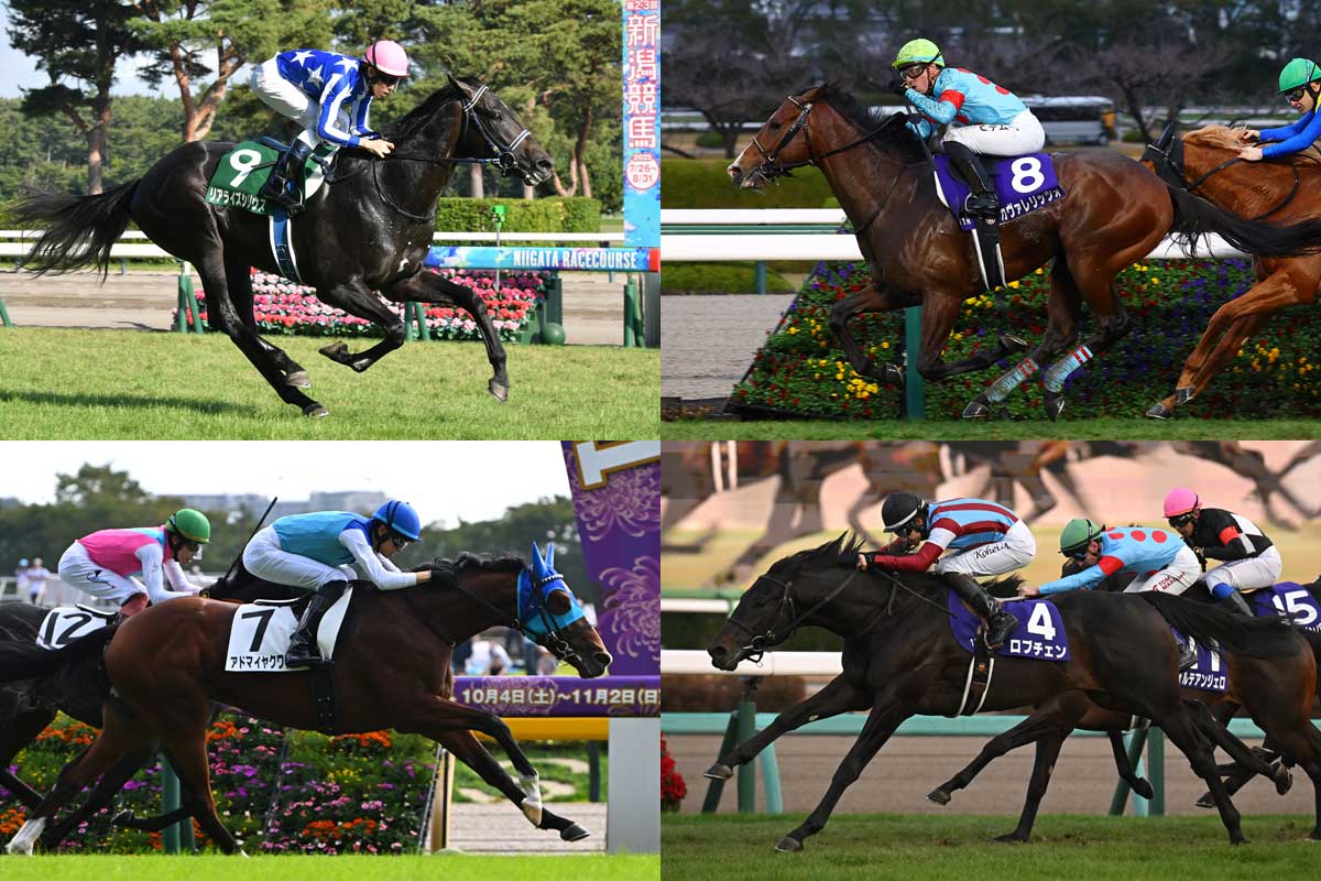 皐月賞・枠順確定】カヴァレリッツォは1枠1番、ロブチェンは2枠4番