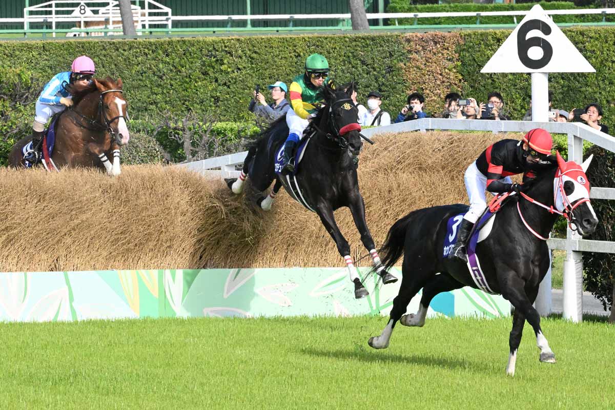 中山グランドジャンプ】王者エコロデュエルが驚異の大差勝ち 草野太郎