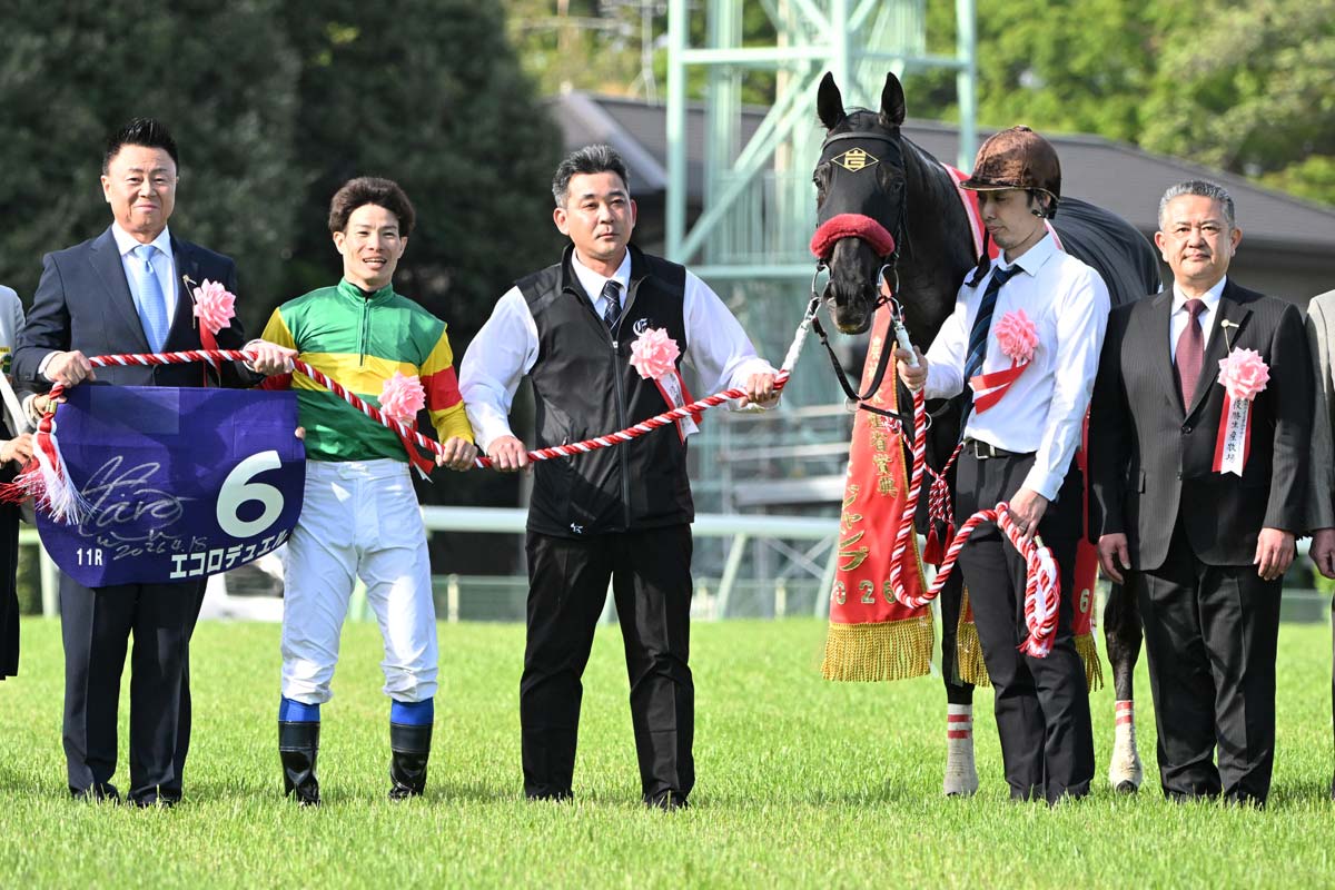お取り置きエコロデュエル 中山グランドジャンプ 中山グランドジャンプ】王者エコロデュエルが驚異の大差勝ち 草野太郎