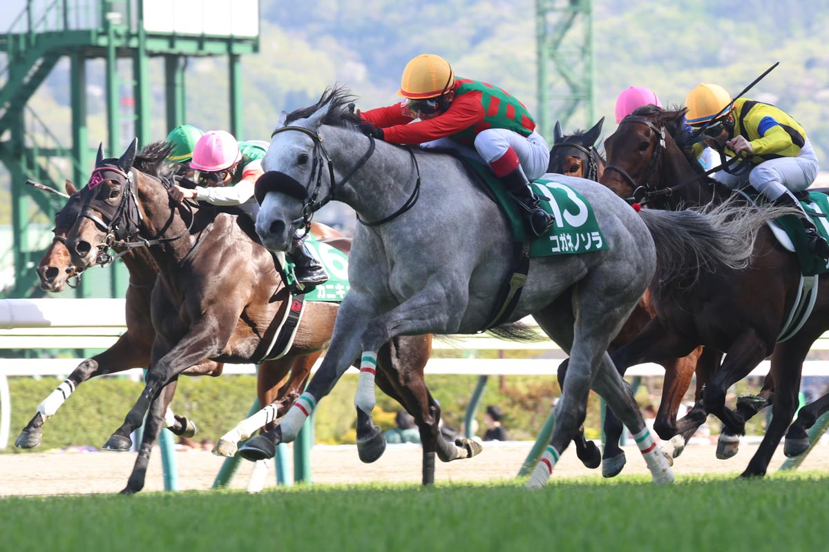 福島牝馬S結果＆コメント】伏兵コガネノソラが重賞2勝目 菊沢一樹