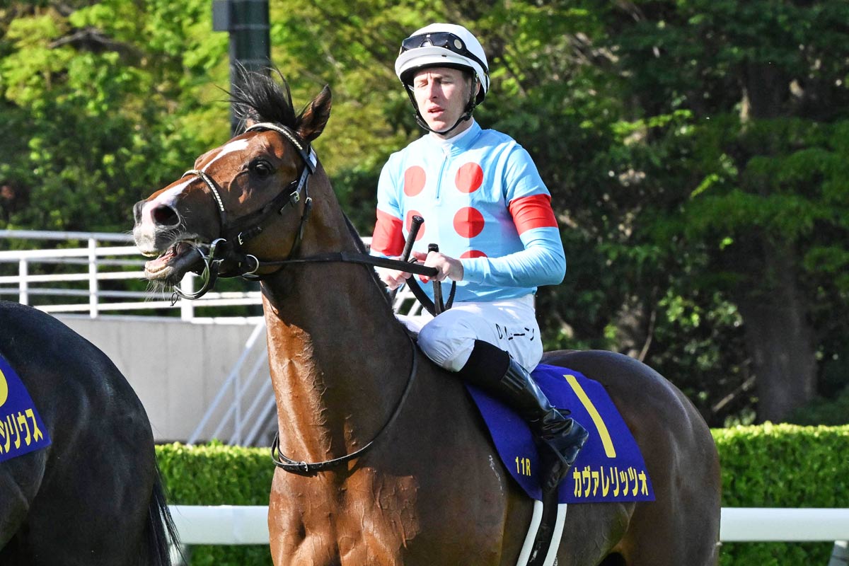 皐月賞・人気馬の敗因】3番人気カヴァレリッツォは直線力尽きて13着