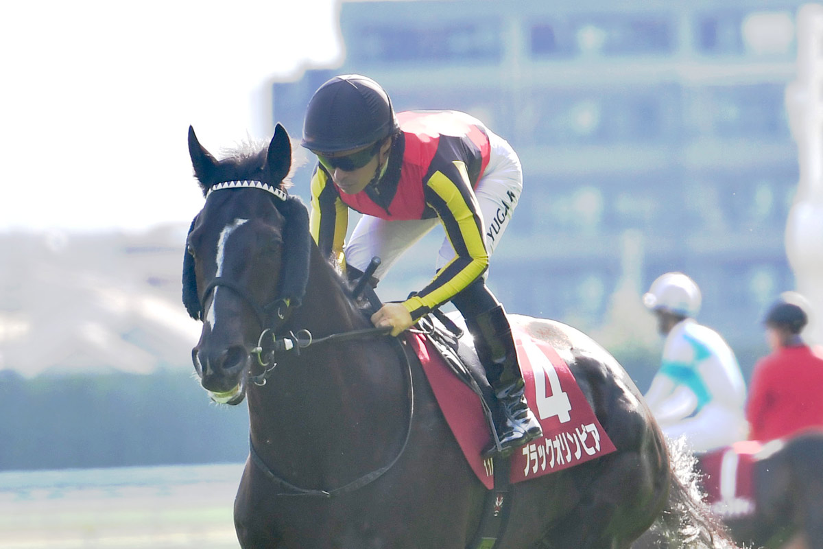 友道康夫一覧 | 競馬ニュース・特集なら東スポ競馬