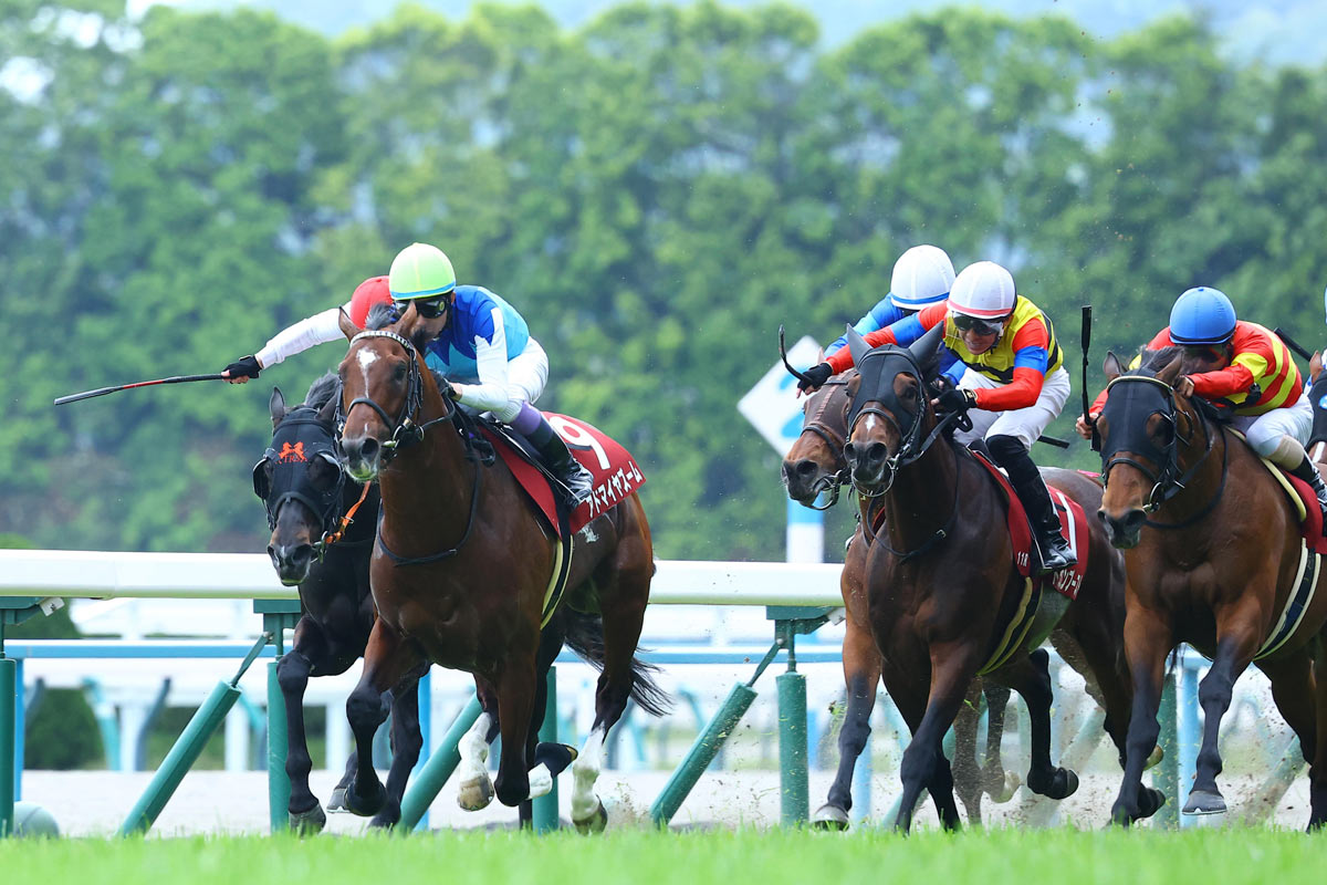マイラーズC】快勝アドマイヤズーム武豊との「相性の良さ」が大きな