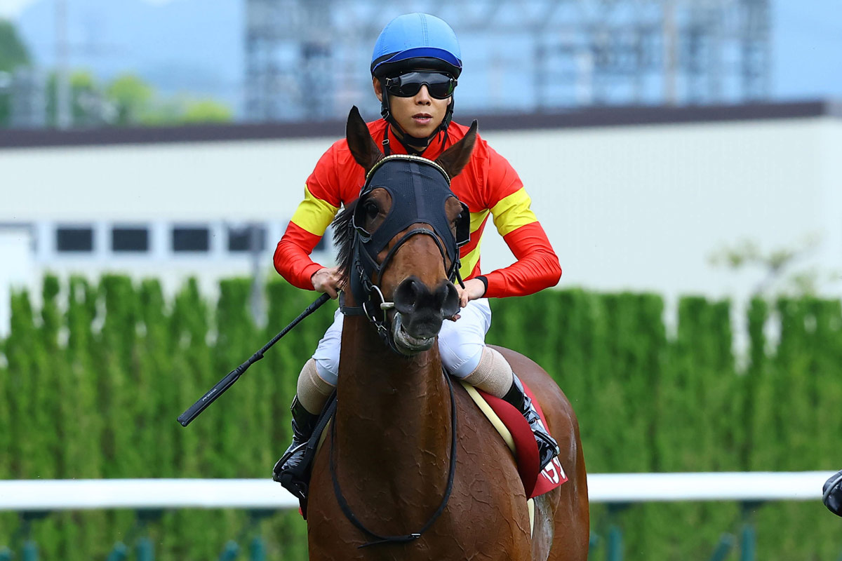 マイラーズC】快勝アドマイヤズーム武豊との「相性の良さ」が大きな