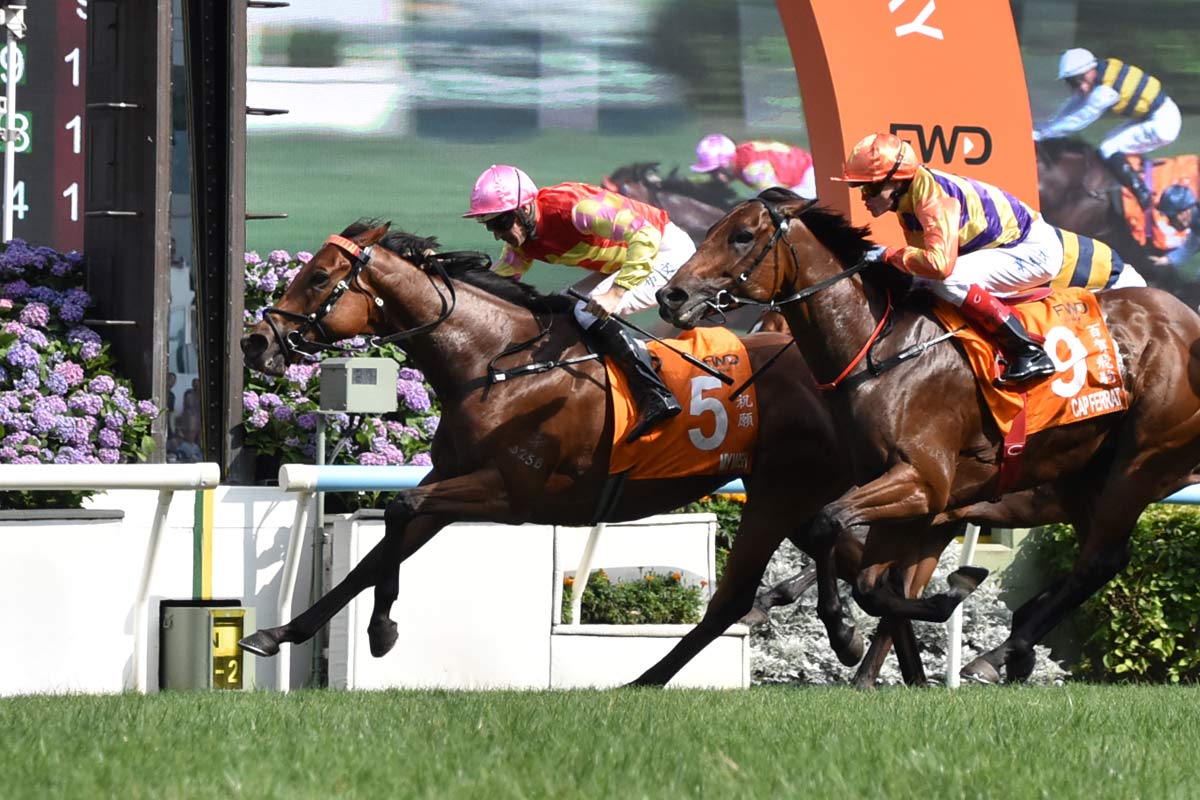チャンピオンズマイル】日本馬2頭は完敗 マイウィッシュGⅠ初制覇で大