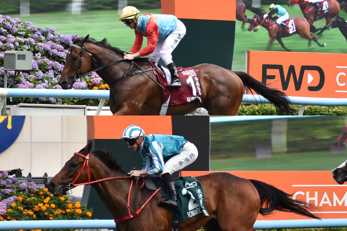 クイーンエリザベス2世カップ一覧 | 競馬ニュース・特集なら東スポ競馬