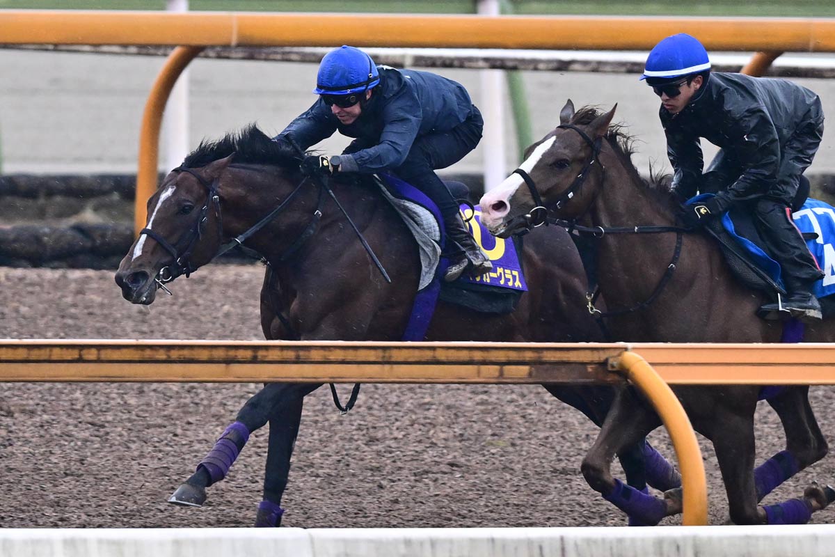 今村聖奈、G1騎乗OKも「現状ではダメ」 さらなる進化へ「向上心と 競馬