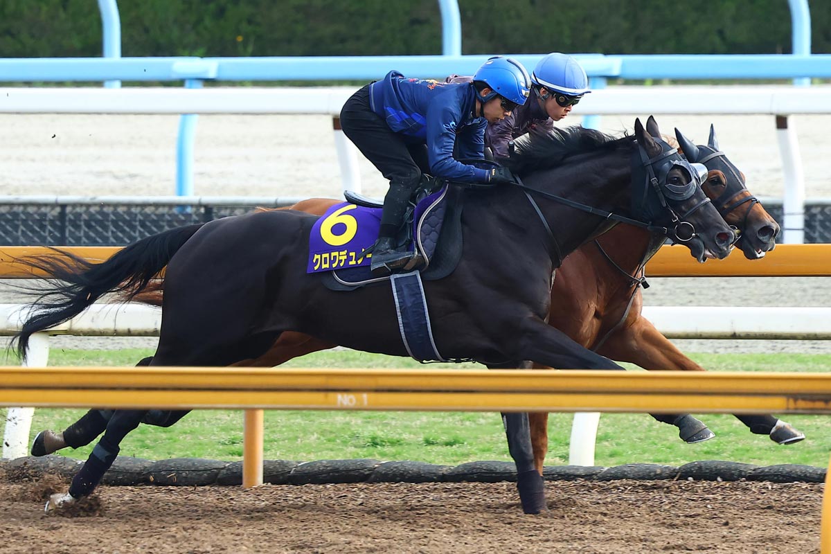 藤懸貴志 騎手 ジャージ 黒 Lサイズ ＋ ハンドタオル 水色 JRA 競馬 思い出のマーメイドS】ハンデもオーナーも同じ〝3度目の正直〟 藤懸