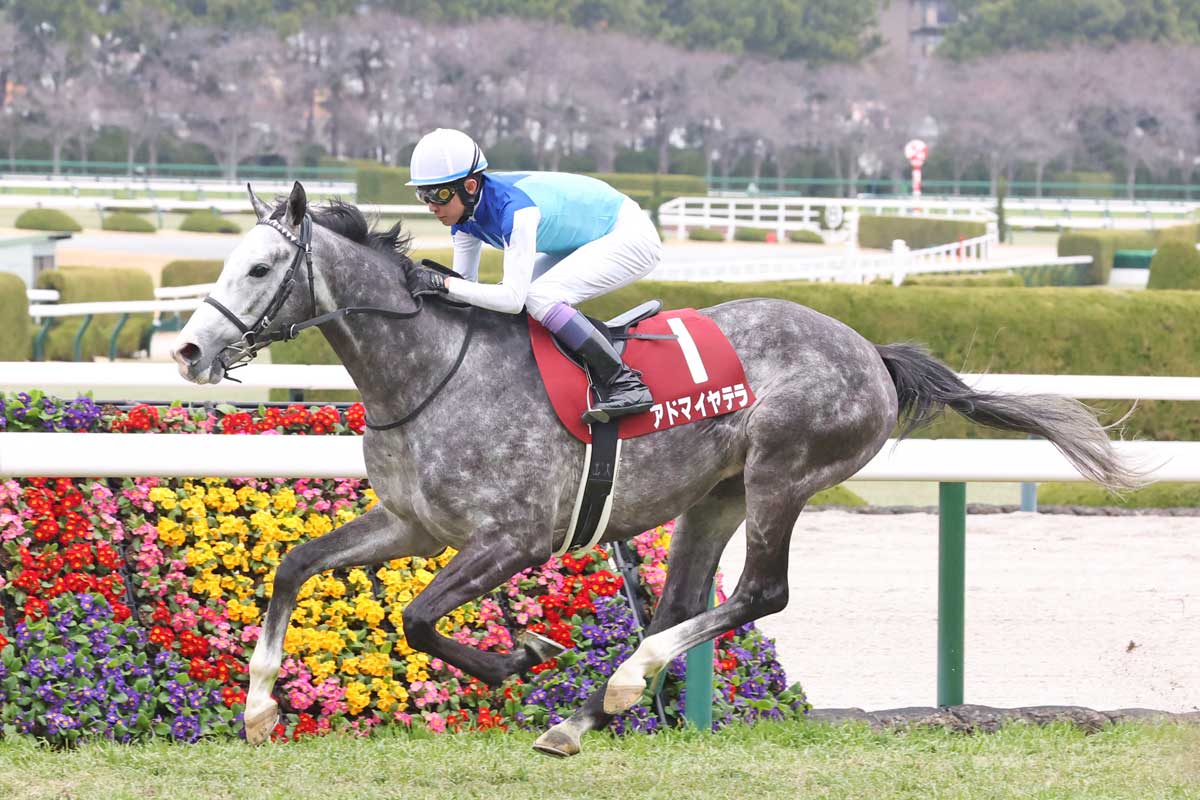 藤懸貴志 騎手 ジャージ 黒 Lサイズ ＋ ハンドタオル 水色 JRA 競馬 藤懸 貴志の騎手情報 | 競馬ラボ