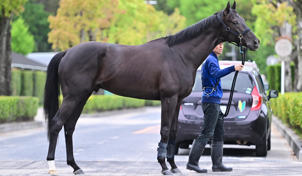 天皇賞春・枠順確定】GⅠ連勝狙うクロワデュノールは4枠7番、武豊