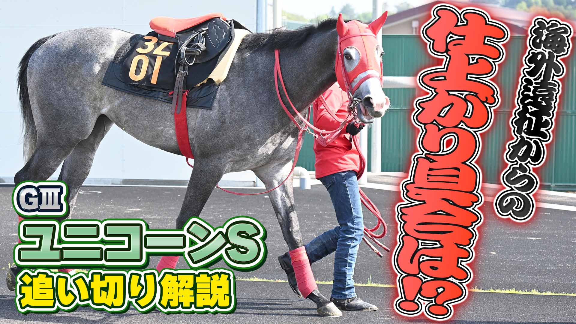 秋華賞2025】SKE48・熊崎晴香 先週16万馬券的中！この馬の末脚に