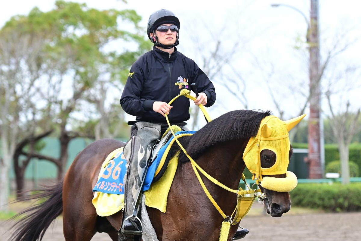 菱田裕二　ホースレーシング 2024 直筆サイン　テーオーロイヤル50枚限定 ジョッキーカメラ】テーオーロイヤル騎乗の菱田裕二騎手ジョッキー