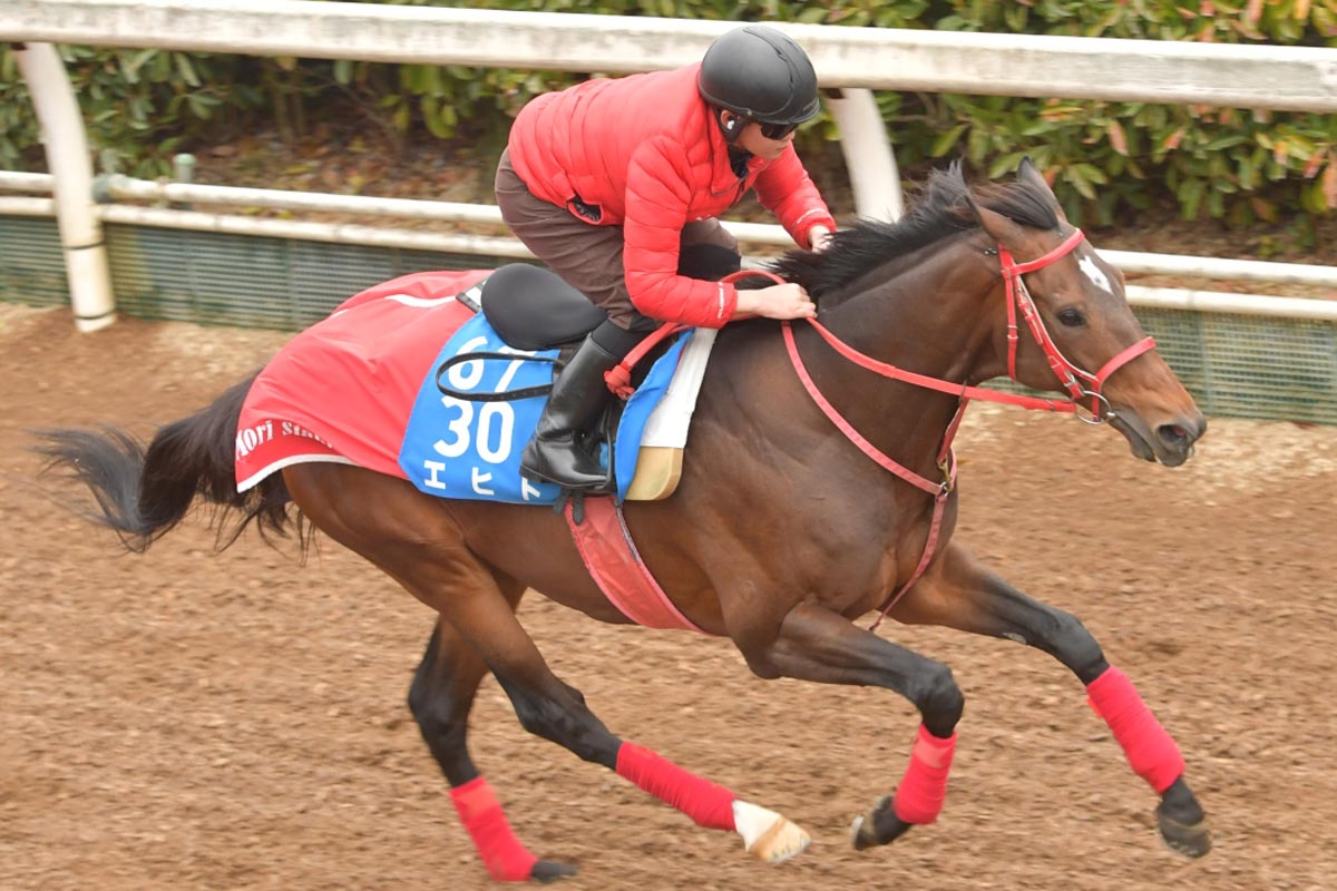 記者のベストレース2024】人馬一体で見せつけた〝王道競馬