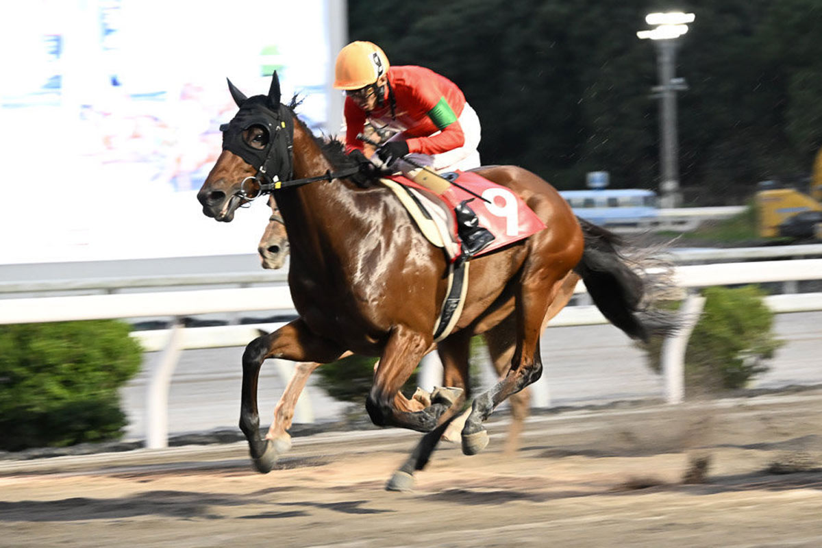 高知競馬・黒潮皐月賞展望】雑賀正光厩舎の上位独占なるか？ 名馬への