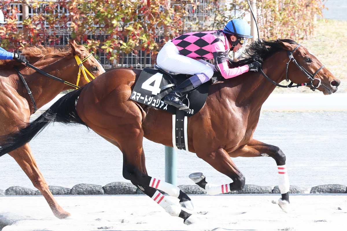 合う馬 園田競馬・兵庫チャンピオンシップ展望】武豊とのタッグで重賞初V狙う