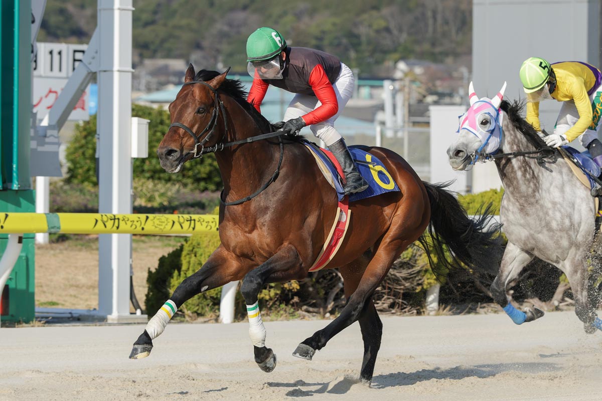 い*う様 【世界唯一】年度代表馬選出記念フォーエバーヤング坂井瑠星騎手直筆サイン 坂井瑠星が初のファンミーティング「もちろん勝ちます」フォーエバー