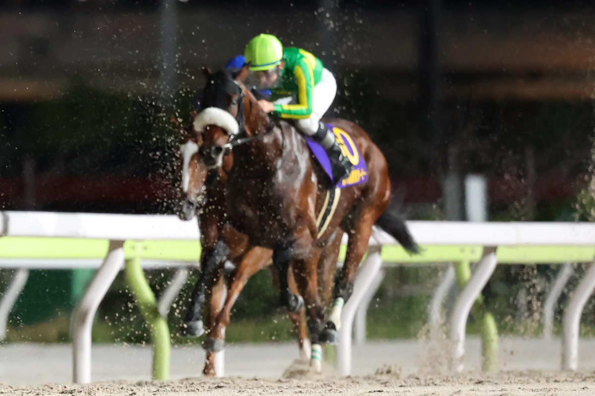 一昨年の東京ダービー2着馬サトノエピックが転厩初戦で障害レース初
