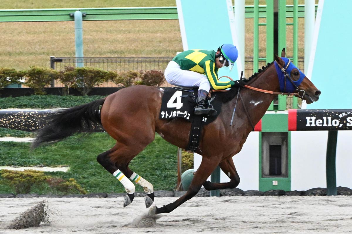 園田競馬・兵庫チャンピオンシップ】サトノボヤージュ陣営を直撃 帰国