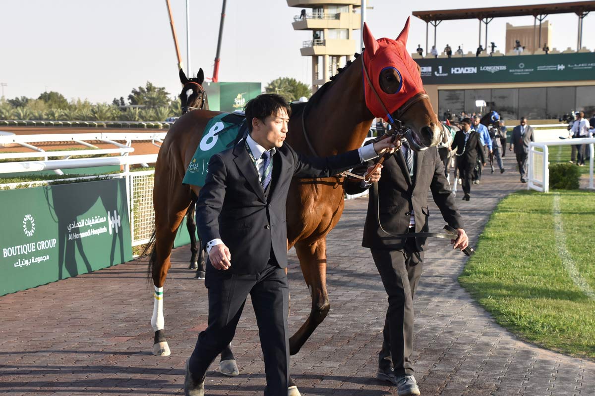園田競馬・兵庫チャンピオンシップ】田中博康厩舎＆戸崎圭太のタッグが