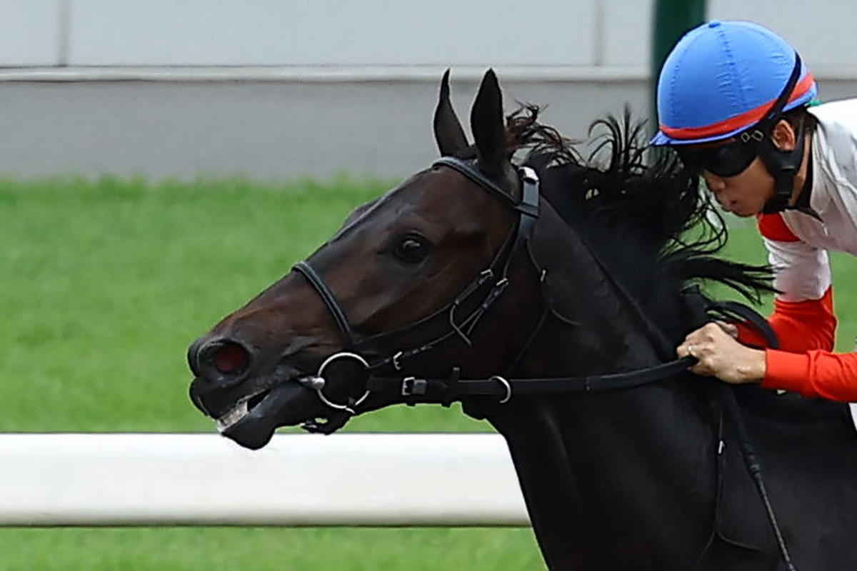 ケンタッキーダービー】女性調教師の管理馬ゴールデンテンポがV ダノン