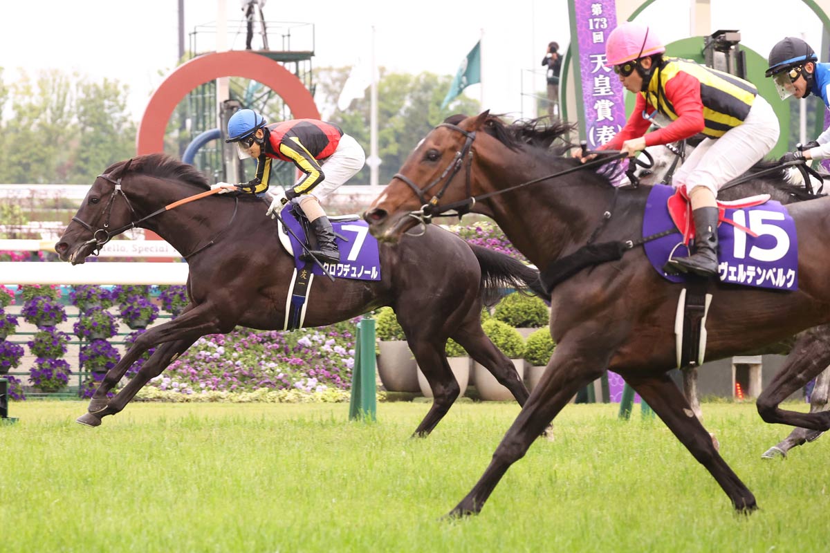 天皇賞春】同一種牡馬のワンツーはグレード制導入後5例目 SSやディープ