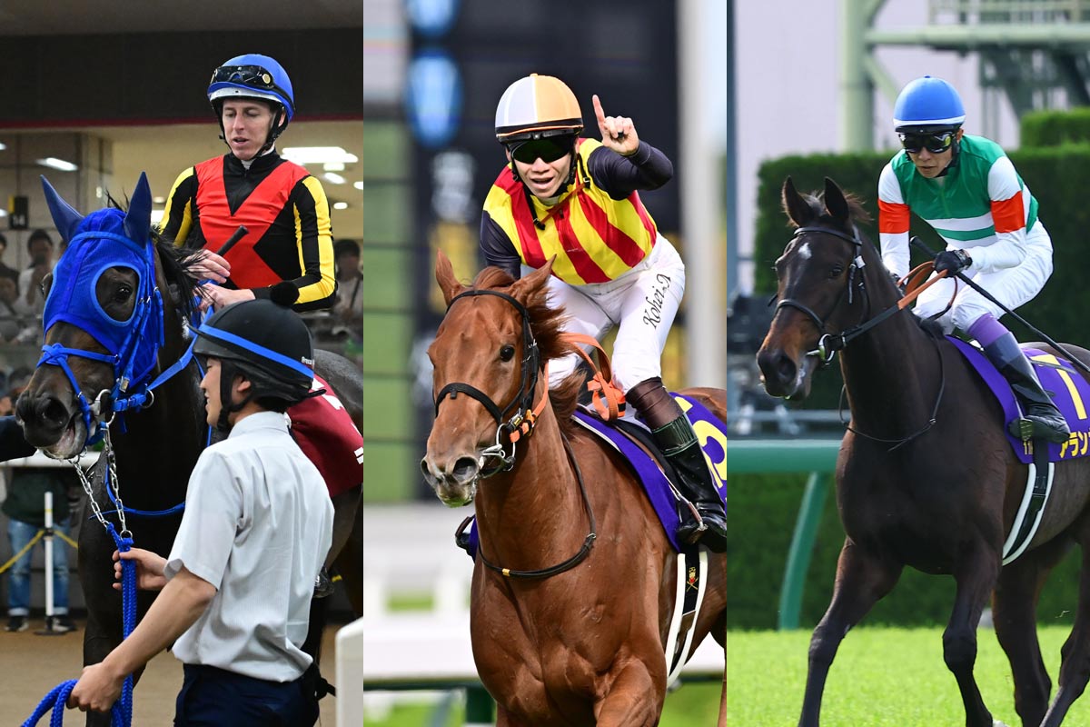 サトノダイヤモンド 新馬戦〜天皇賞・春２歳から４歳国内全９戦現地単勝 2歳新馬】サトノダイヤモンド産駒のタリフラインが大外一気 ルメール