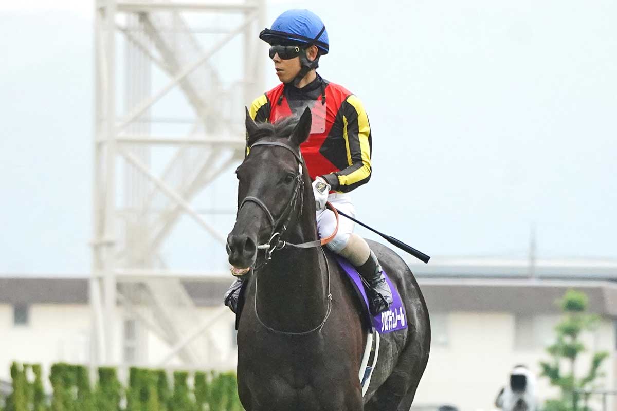 プレゼント】矢作厩舎〝JRA通算800勝〟特製記念グッズを大放出