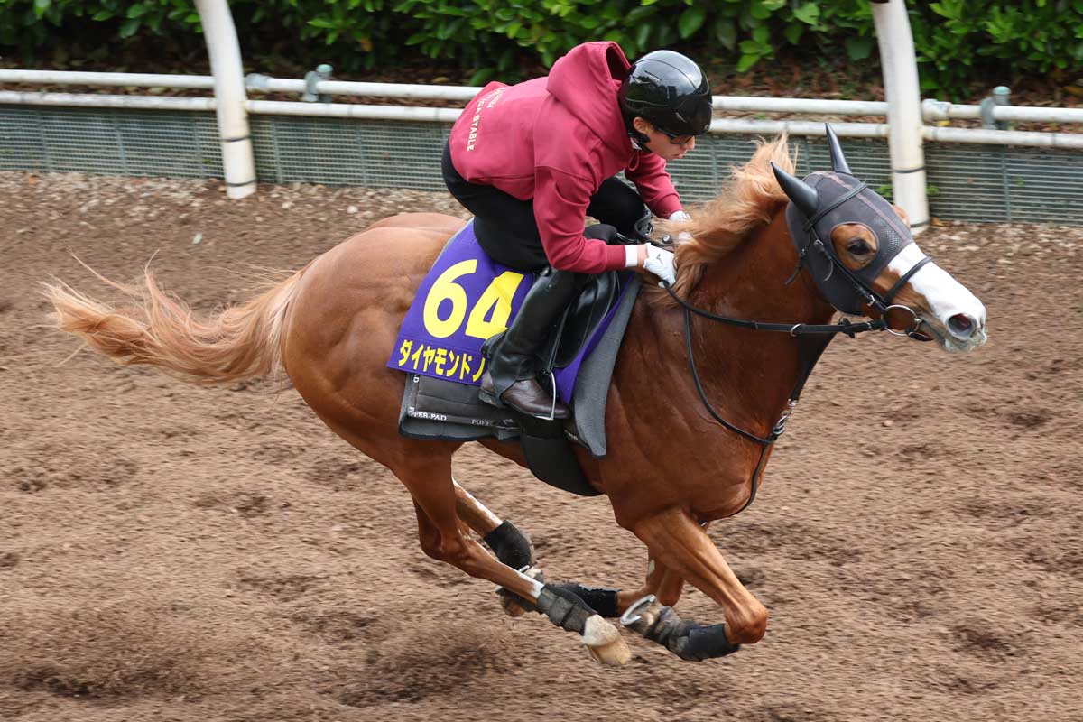 1997年フェブラリーS】初代王者は〝かみつき馬〟シンコウ