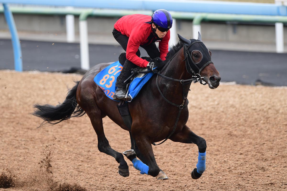 2002年・シンザン記念】タニノギムレットの「原点」 種牡馬を
