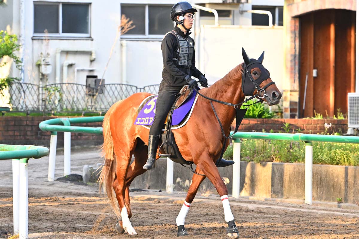 2歳新馬】サトノダイヤモンド産駒のタリフラインが大外一気 ルメール
