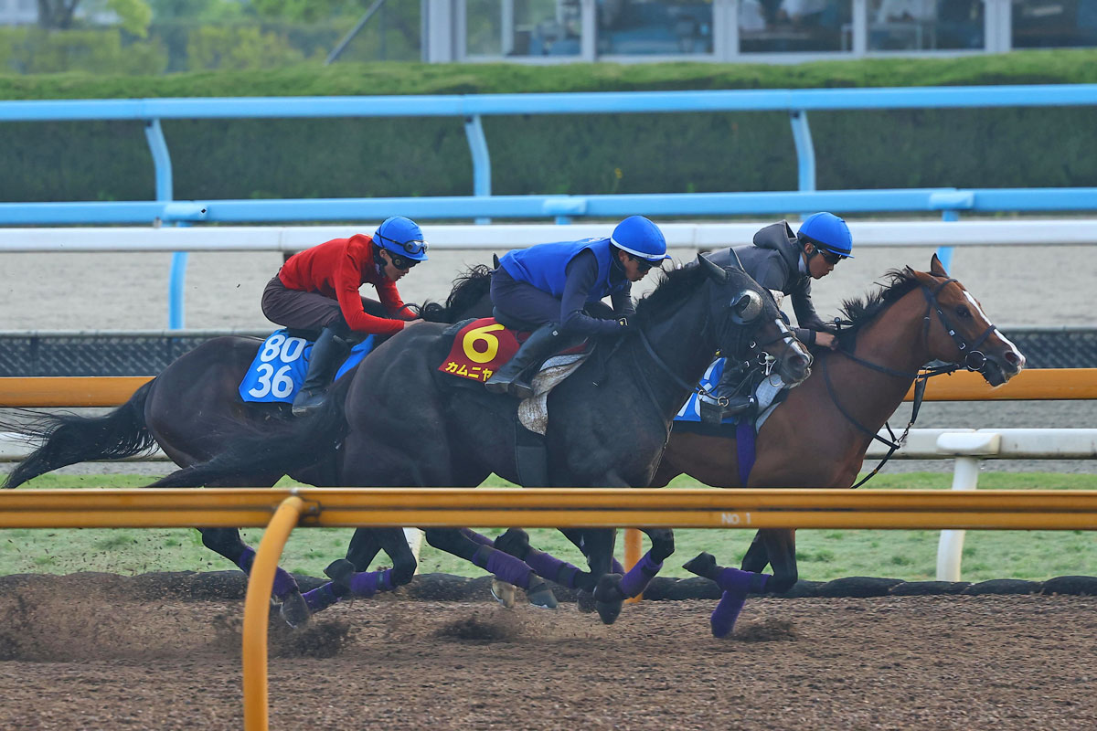 ヴィクトリアマイル1週前追い切り】カムニャックは馬なりで鋭い伸び