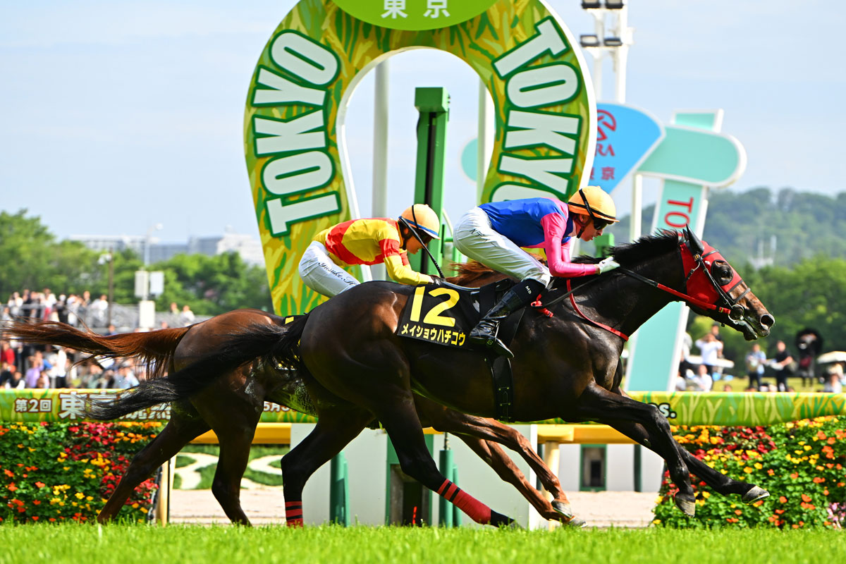 プリンシパル ステークス 過去