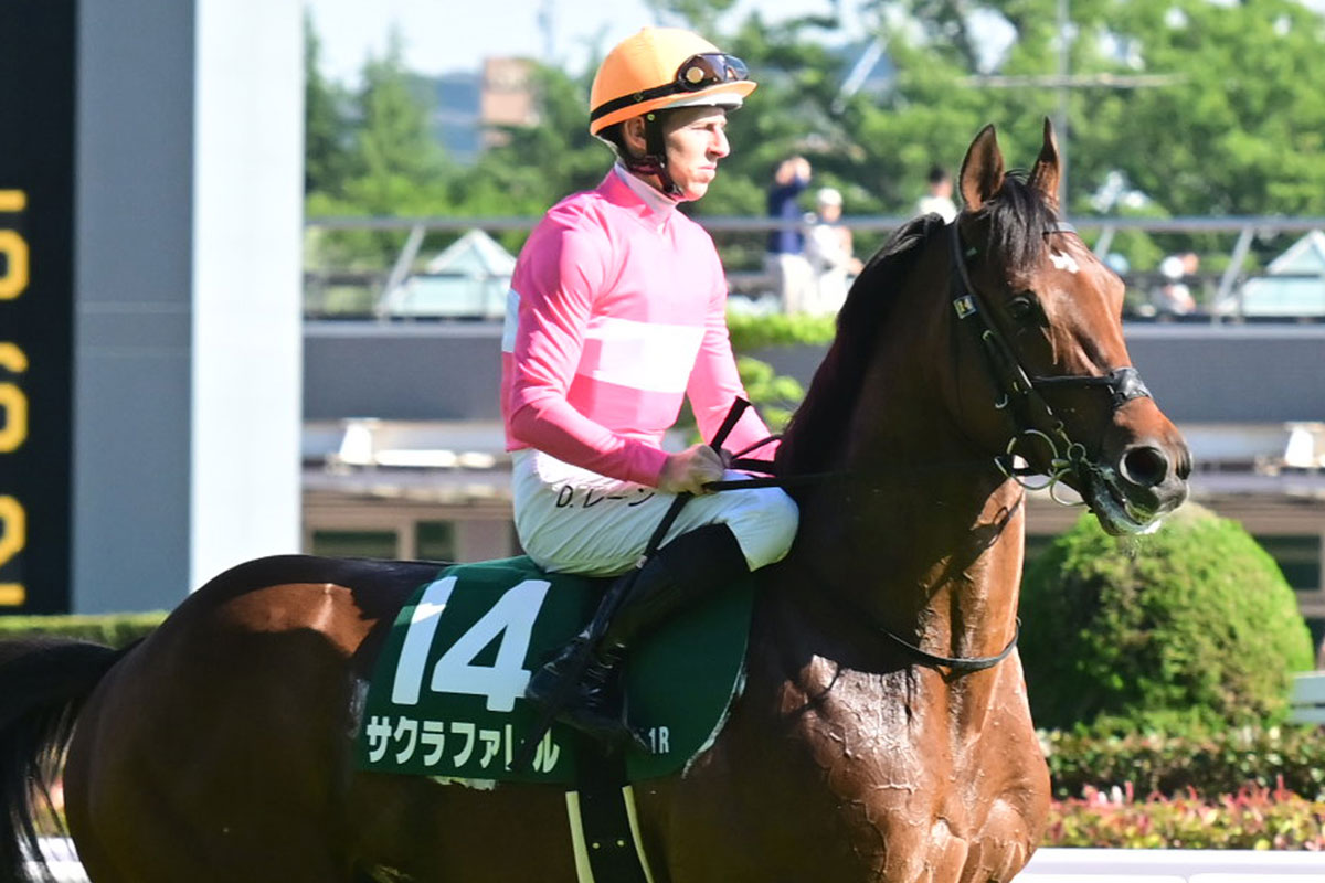 武豊ウオッカ衝撃の7馬身差V！「一瞬で抜け出してしまった
