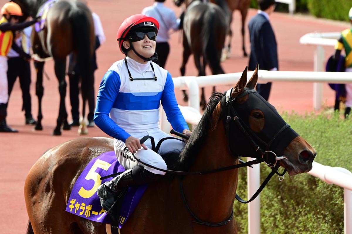 渡辺新一 「狙って取る万馬券確勝法」 貴重 USED 渡辺新一 「狙って取る万馬券確勝法」 貴重 USED 【公式通販】