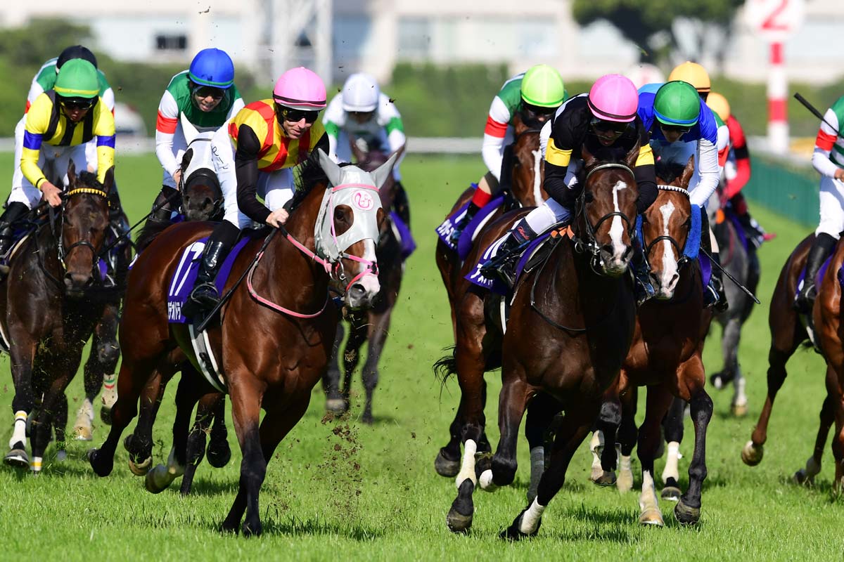 ダービーを占う】実績ある皐月賞組に挑むのは2頭のコントレイル産駒と