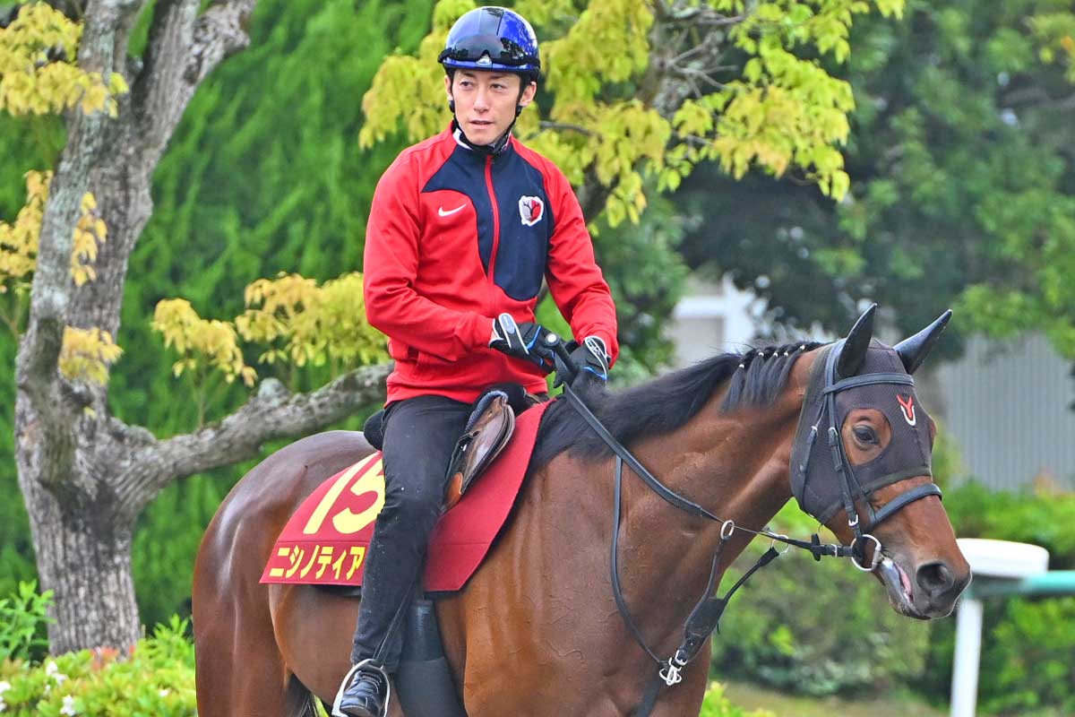 即決価格！希少品！無敗の三冠馬✨非売品 コントレイル ポロシャツM