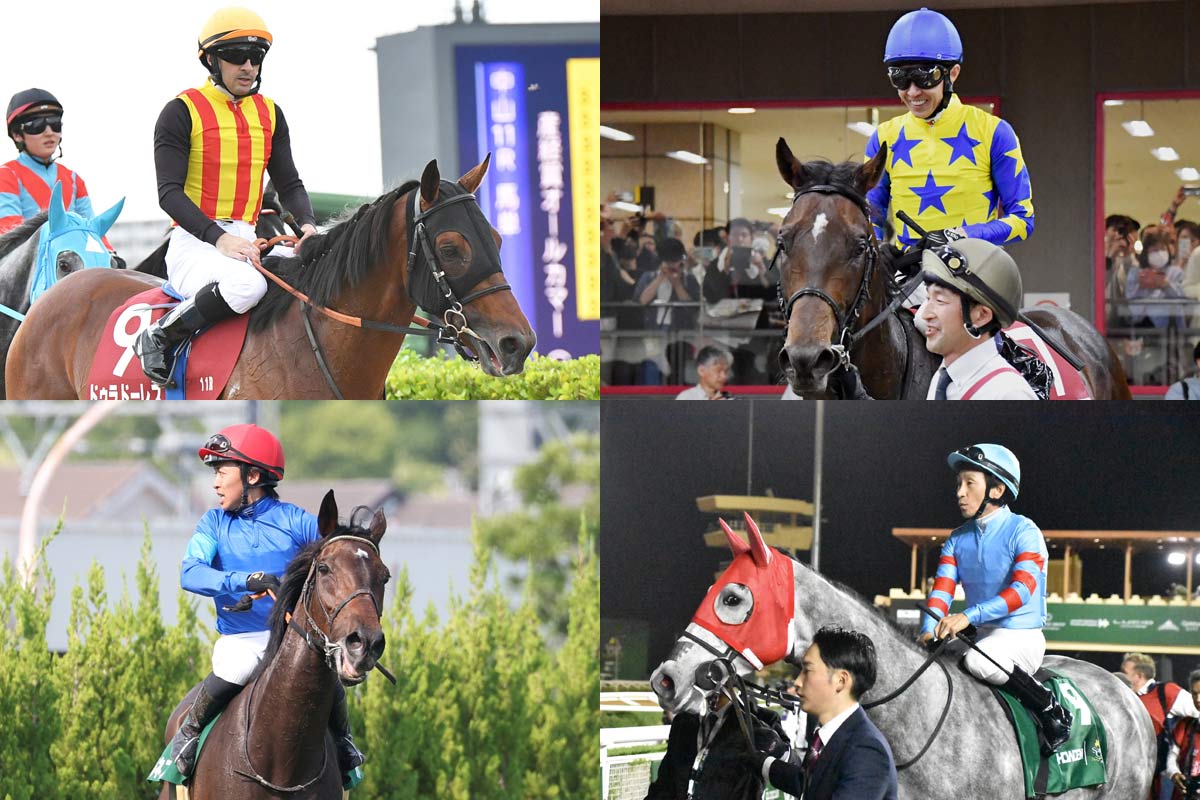 早い者勝ち!! 最高級馬場鞍  Overture Victoria 美品 乗馬 ズボラ主婦またもや鞍を買うの巻/鞍乗り比べ - YouTube