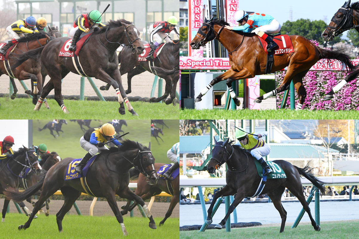 早い者勝ち!! 最高級馬場鞍  Overture Victoria 美品 乗馬 早い者勝ち!! 最高級馬場鞍 Overture Victoria 美品 乗馬 【公式通販】
