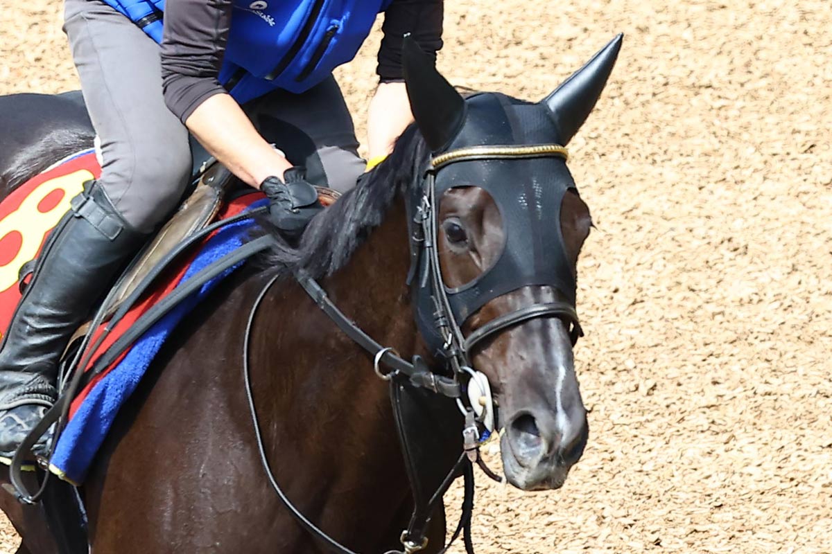 サニーブライアン一覧 | 競馬ニュース・特集なら東スポ競馬