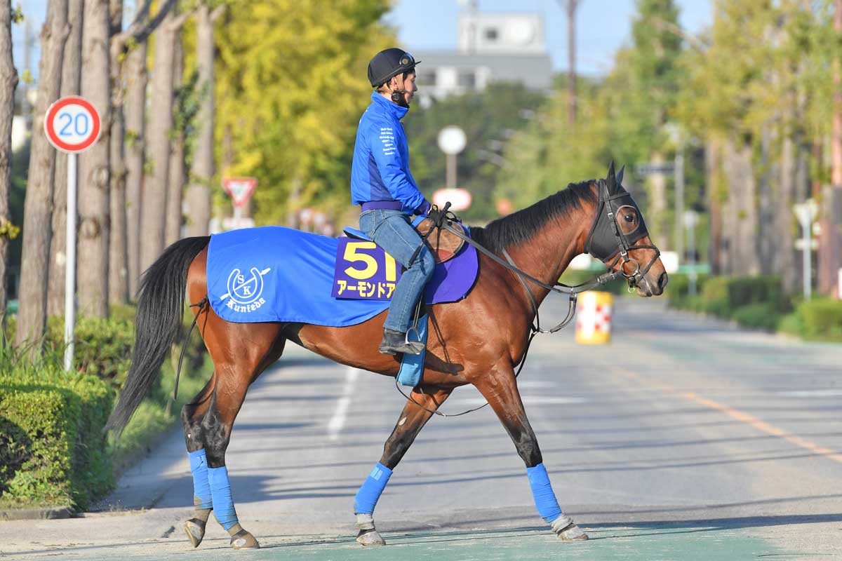 ユニコーンステークス結果＆コメント】カナルビーグル快勝 吉村誠之助