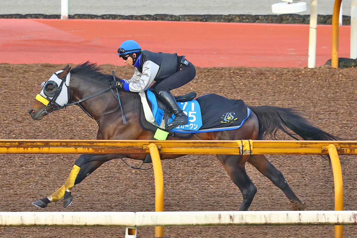 皐月賞】1週前追いに川田が騎乗した真意 兄より優れた弟ダノンタッチ