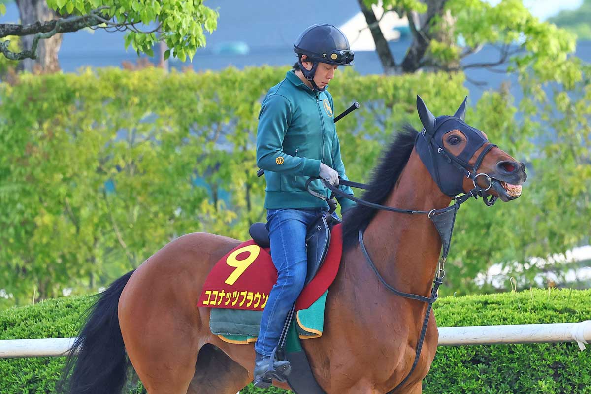 ヴィクトリアマイル・耳より】ココナッツブラウン距離短縮は好材料