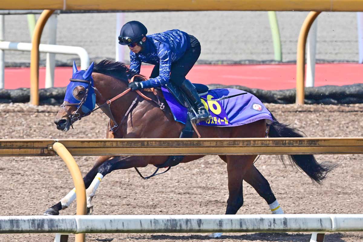 渡辺新一 「狙って取る万馬券確勝法」 貴重 USED セレクトセール2024】藤田晋氏が5億9000万円ホースで競り
