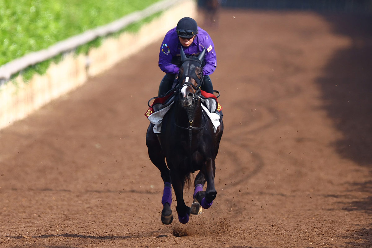 中山記念】パンサラッサ「逃げたら強い」を実証する2馬身半差完勝劇