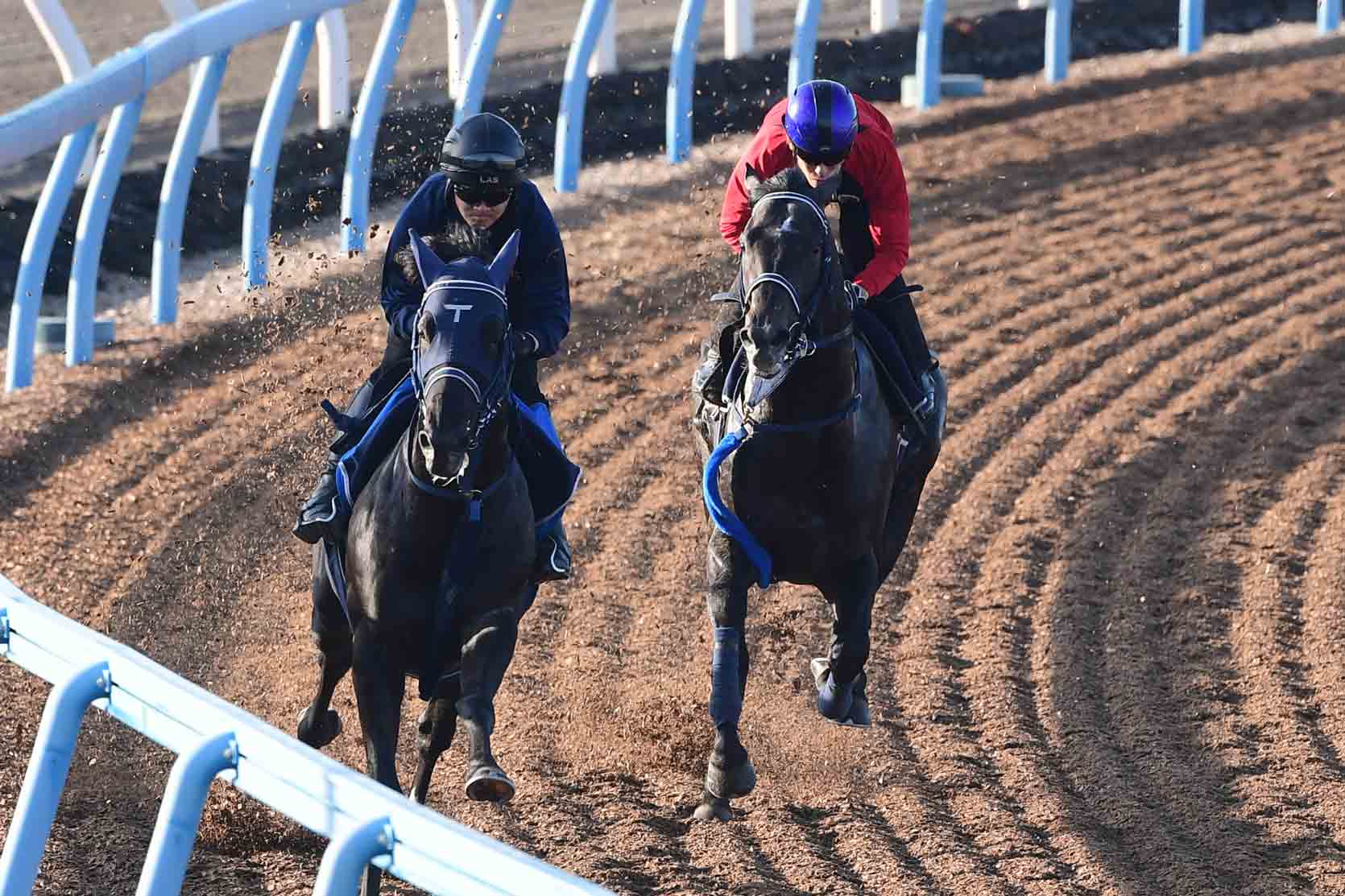 小倉サマージャンプ】ロスコフが〝想定外の一戦〟を制して重賞初V